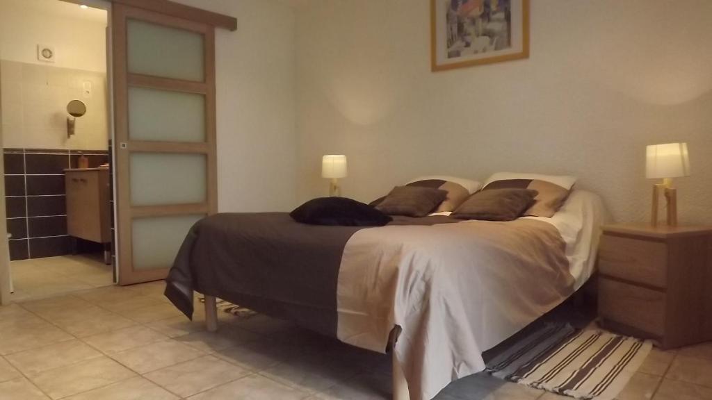 Chambres D'Hotes- Le Pre Aux Anes Albon ห้อง รูปภาพ